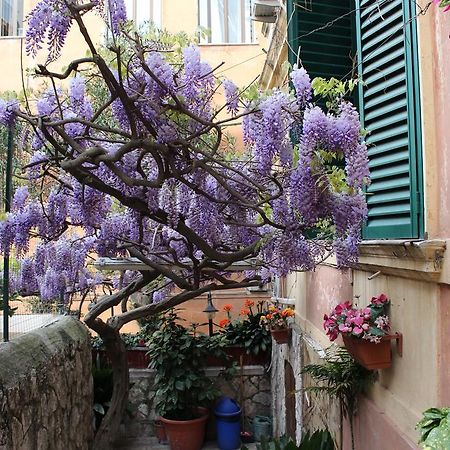 Hotel Pavia Rom Exterior foto